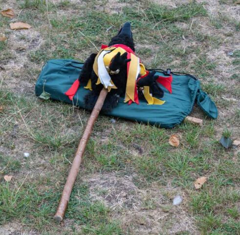 Athelstan walk (2 of 21)